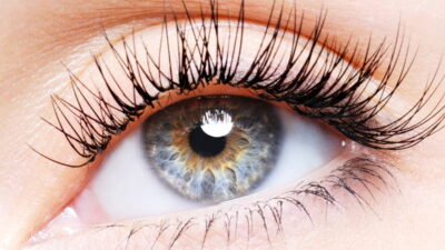 【美人づくり】失敗しないまつ毛美容液の選び方｜成分と目的から見極める3つの基準