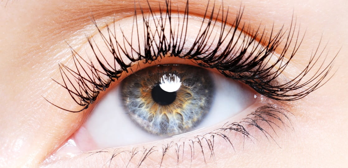 【美人づくり】失敗しないまつ毛美容液の選び方｜成分と目的から見極める3つの基準